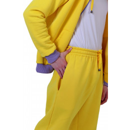 Костюм флисовый "Шестаков"(кофта и брюки), желтый, размер 46