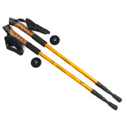 Палки для скандинавской ходьбы ENERGIA, пробковая ручка, золотистые