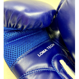 Перчатки боксерские SOLTAS THAI MODEL, материал FLEX, цвет синий белый, 16 OZ (унций)