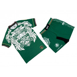Комплект шорты/футболка (2) VENUM UFC 12091, цвет хаки (XL)